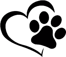 815410_65c1cef2ad27401d9de72880d6928483~mv2