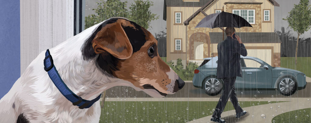 Understanding Separation Anxiety