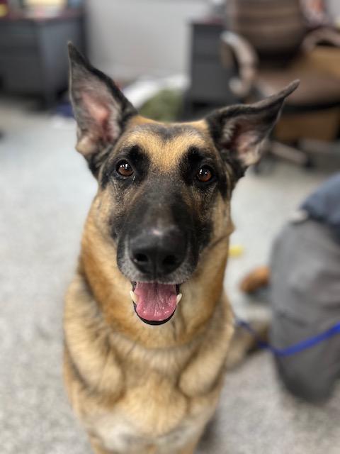 Max